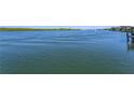 Scenic waterfront view with calm water and lush greenery at 1112 N Peninsula Ave, New Smyrna Beach, FL 32169