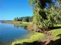 Peaceful lakeside view with lush greenery at 4146 Versailles Dr # 4146D, Orlando, FL 32808