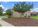 Landscaped side yard with a tree and mulch at 1424 Rolling Fairway Dr, Davenport, FL 33896