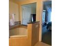 Bathroom with corner bathtub, separate shower, and vanity at 1597 Heritage Crossing Ct # 202, Reunion, FL 34747