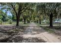 Long driveway lined with oak trees and Spanish moss at 16600 Cleveland Ln, Umatilla, FL 32784