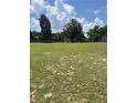 Vacant lot with grassy area and trees at 7400 E Hwy 25, Belleview, FL 34420