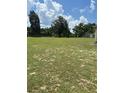 Vacant lot with grassy area and mature trees at 7400 E Hwy 25, Belleview, FL 34420
