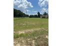 Vacant lot, grassy area, and trees at 7400 E Hwy 25, Belleview, FL 34420