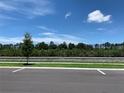 View of community with a fence, landscaping, and parking at 2436 Cedar Rose St, Apopka, FL 32712