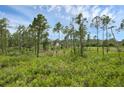 Private lot surrounded by lush vegetation and mature trees at 30808 Apricot Ave, Eustis, FL 32736