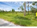 Wooded lot with open areas, ready to build your dream home at 30808 Apricot Ave, Eustis, FL 32736