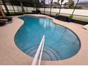 Relaxing kidney-shaped pool with a convenient step entry at 531 Soft Shadow Ln, Debary, FL 32713