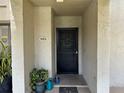 Condo entrance with a black door and potted plants at 4165 Player Cir # 528, Orlando, FL 32808