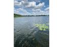 Lily pads on calm lake water at 207 Robin Rd, Altamonte Springs, FL 32701