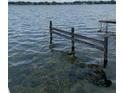 Wooden posts in the lake with water plants at 207 Robin Rd, Altamonte Springs, FL 32701