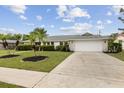 House exterior with palm trees and a large driveway at 3994 Irma Shores Dr, Orlando, FL 32817