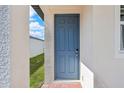 Gray front door with sidelights and brick walkway at 3653 Portsmouth Ln, Haines City, FL 33844