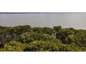 Expansive lakefront view with mature trees and lush vegetation at 16 Cypress Dr, Eustis, FL 32726