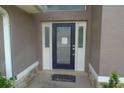 Modern front door with glass panels and a welcoming mat at 69 Grey Dapple Way, Ormond Beach, FL 32174