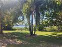 Scenic lake view from backyard, lush landscaping, and mature palm trees at 14902 Arrena Rd, Winter Garden, FL 34787