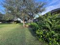 Spacious backyard with lush lawn and large trees at 24023 Robinwood St, Leesburg, FL 34748