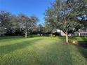 Large backyard with lush green grass and mature trees providing shade at 24023 Robinwood St, Leesburg, FL 34748