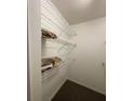 Ample closet shelving and hanging space for clothes and linens at 2456 Sweetwater Club Cir # 20, Kissimmee, FL 34746