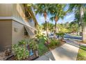 Landscaped walkway near condo building at 120 Hibiscus Woods Ct # 8D, Deltona, FL 32725