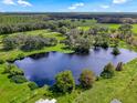 Aerial view of a pond surrounded by lush greenery at 350 S 5Th St, Orlando, FL 32833