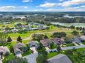 Community overview with various houses and lush green landscape at 4538 Nottoway Dr, Leesburg, FL 34748