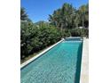 Inviting rectangular pool with light gray tile and lush greenery at 15121 Pigeon Plum Ln, Winter Garden, FL 34787
