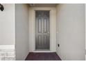 Dark gray front door with a six-panel design and brick flooring at 4706 Jasmine Cir, Leesburg, FL 34748