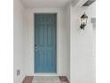 Teal front door with a six-panel design and black lantern at 4710 Jasmine Ct, Leesburg, FL 34748