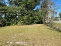 Small yard with patchy grass and some shrubs at 502 Roger Williams Rd, Apopka, FL 32703