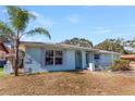 Light blue ranch home with palm trees and a spacious front yard at 1716 Sprucewood Ln, Orlando, FL 32818