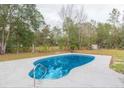 Kidney-shaped swimming pool in backyard setting at 4 Cedar Trace Way, Ocala, FL 34472