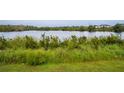 Peaceful lakefront view with lush greenery at 476 Lake Shore Pkwy, Davenport, FL 33896