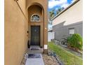 Home's entrance with a black door and walkway at 15321 Beamleigh Rd, Winter Garden, FL 34787