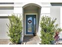 Stylish front door with glass panels and a holiday wreath at 3359 Hanging Tide St, Winter Garden, FL 34787