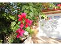 Vibrant pink bougainvillea flowers by garage at 536 Fourwind St, Deltona, FL 32725