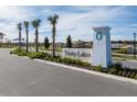 Trinity Lakes community entrance sign with palm trees and landscaping at 2075 Heart Lake Dr, Groveland, FL 34736