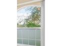 Large arched window with frosted glass panes providing privacy and natural light at 10421 Andover Point Cir, Orlando, FL 32825