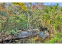 Serene view of a natural creek with lush vegetation at 1445 Creekside Cir, Winter Springs, FL 32708