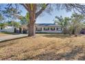 Ranch house with mature tree and a long driveway at 4213 Seybold Ave, Orlando, FL 32808