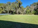 Large grassy backyard with natural wooded border at 7830 Sw 103Rd Loop, Ocala, FL 34476