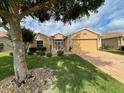 House with manicured lawn, landscaping, and a large tree at 16026 Sw 14Th Avenue Rd, Ocala, FL 34473