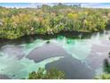 Aerial view of a river with lush greenery at 10020 Sw 202Nd Cir, Dunnellon, FL 34431