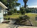 Landscaped yard with palm trees and a spacious lawn at 3817 Sw 161St Loop, Ocala, FL 34473