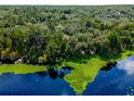 Aerial view of a waterfront property with lush vegetation and a calm body of water at 24750 Ne 177Th Ter, Fort Mc Coy, FL 32134