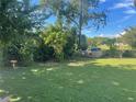 Spacious backyard with a grassy area and lush greenery at 5120 Se 145Th St, Summerfield, FL 34491