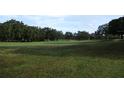 Expansive green golf course with mature trees under a clear sky at 13644 Sw 115Th Ave, Dunnellon, FL 34432