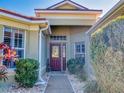 Front entrance with a burgundy door, surrounded by landscaping and a walkway at 27018 Nature View St, Leesburg, FL 34748