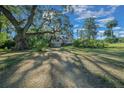 Charming house with a spacious front yard and mature oak tree at 321 Ne 12Th Ave, Ocala, FL 34470