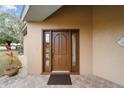 Modern brown front door with sidelights and a tiled entryway at 21959 Nw 6Th St, Dunnellon, FL 34431